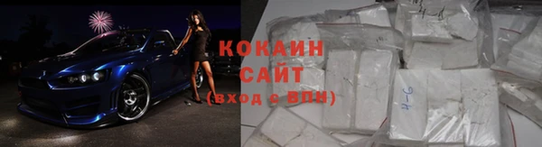 индика Алзамай