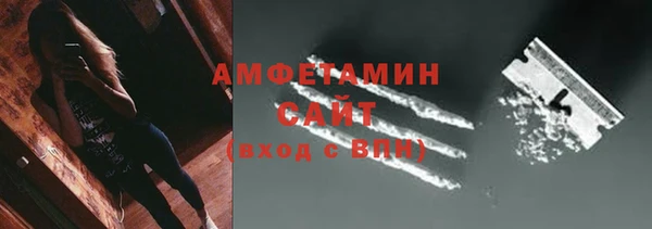 индика Алзамай