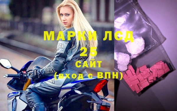 индика Алзамай