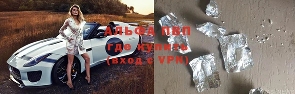 индика Алзамай