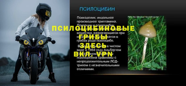 индика Алзамай