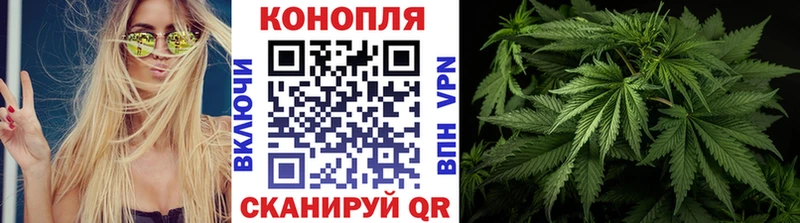 Шишки марихуана White Widow Уяр